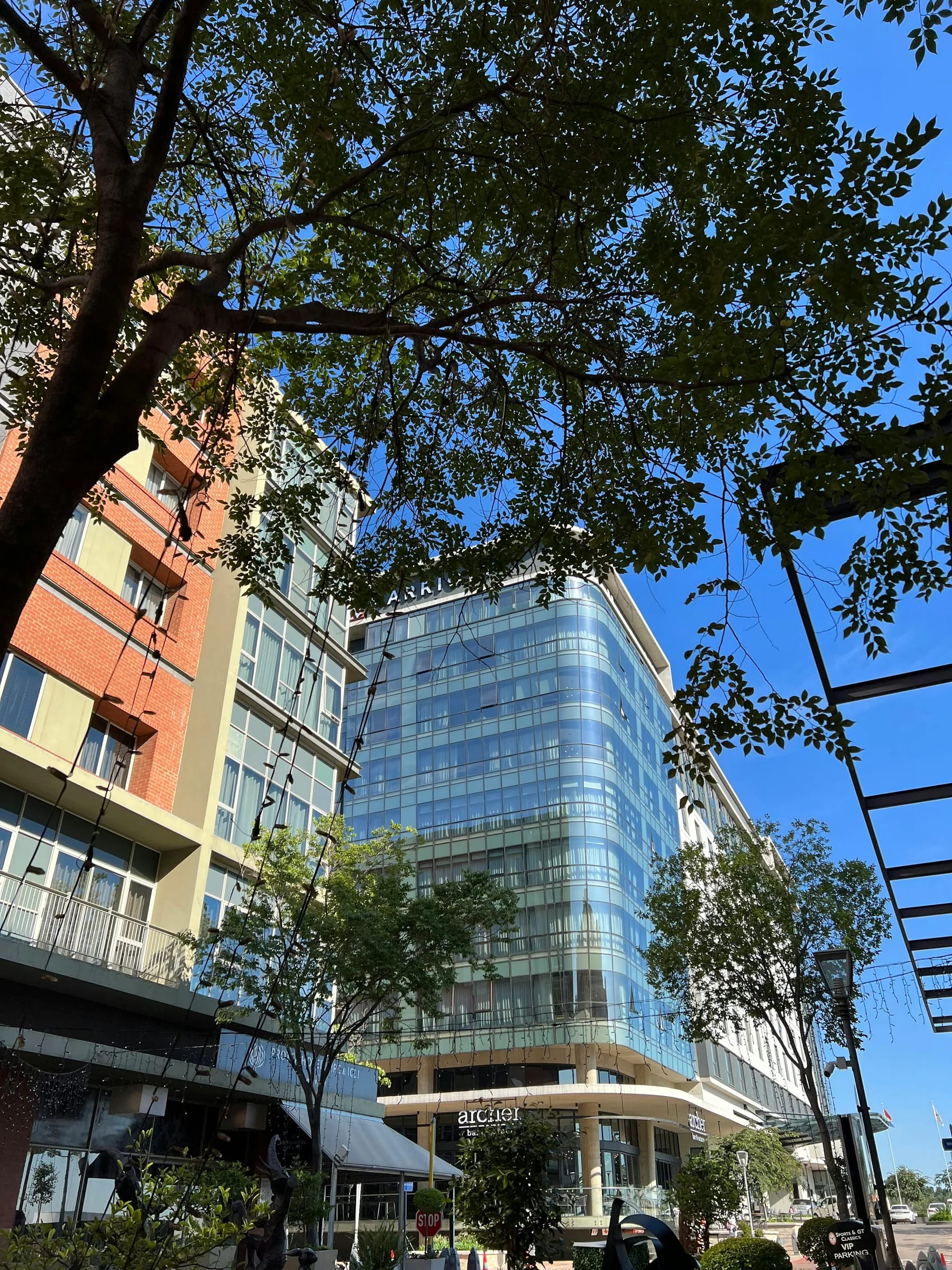 Glass-fronted modern buildings framed by trees in Melrose Arch